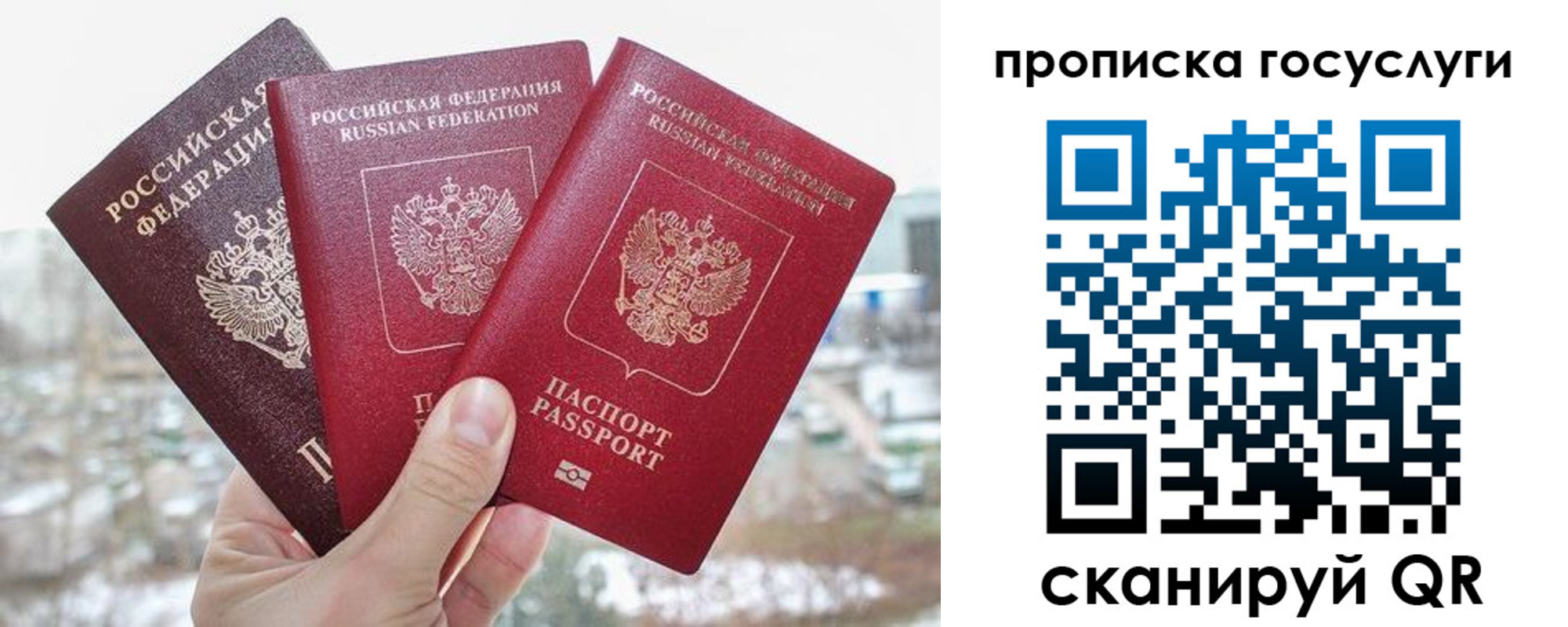 прописка законно в Крымске